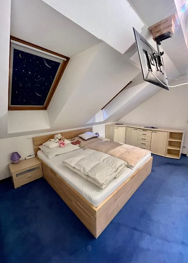 Atemberaubendes Loft Mit Pool Lejlighed Wien